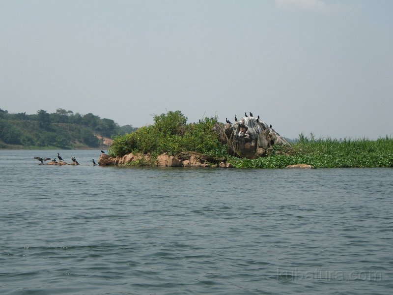 660 648 IMGP2285.jpg
